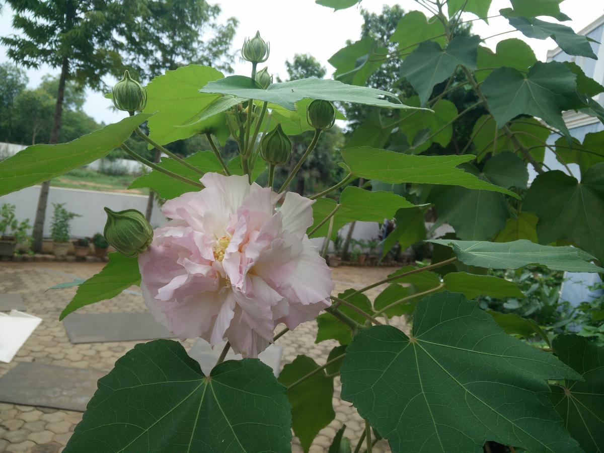 Hotel La Grace Integral Retreat Puducherry Zewnętrze zdjęcie